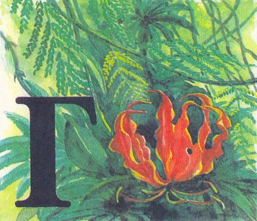 Где у растения дом - _20.jpg