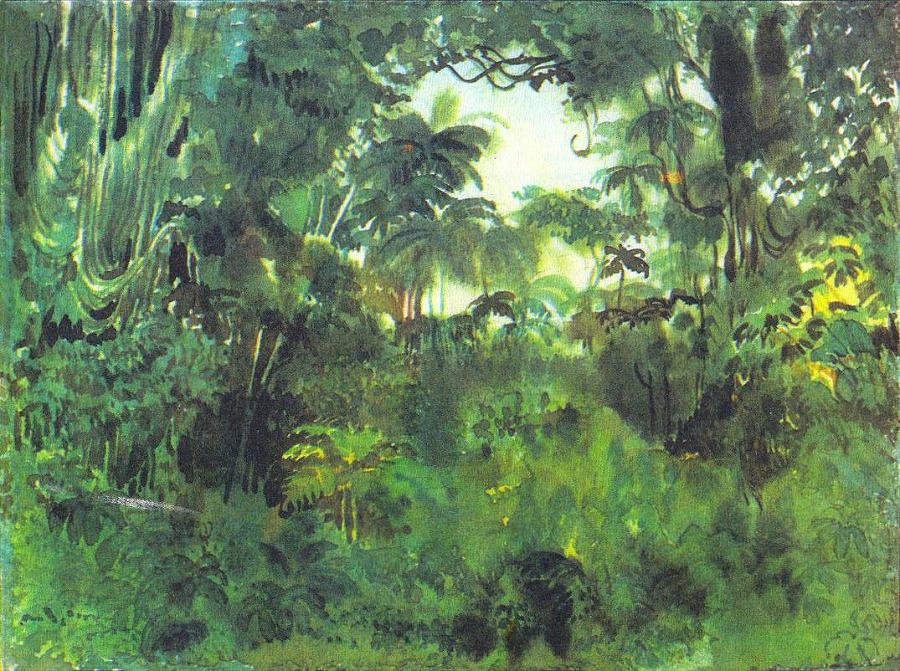 Где у растения дом - _21.jpg