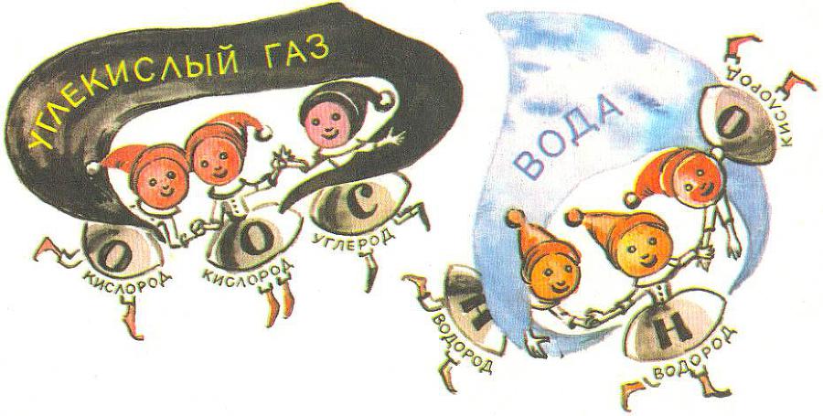 Где у растения дом - _33.jpg