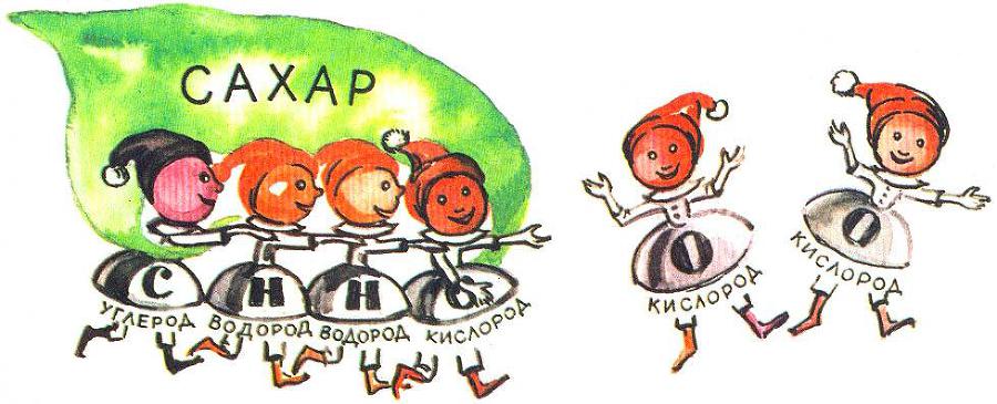 Где у растения дом - _35.jpg