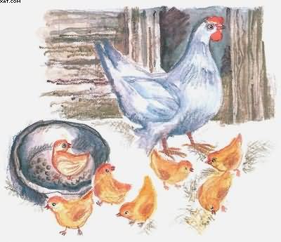 Рассказы о всякой живности - i_018.jpg