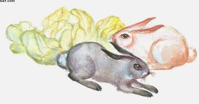 Рассказы о всякой живности - i_021.jpg