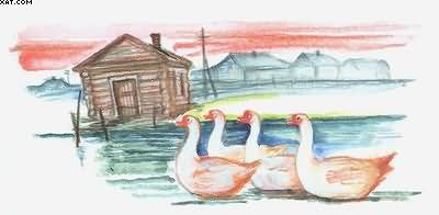 Рассказы о всякой живности - i_022.jpg