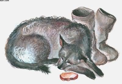 Рассказы о всякой живности - i_024.jpg