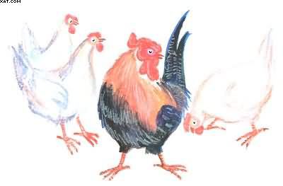 Рассказы о всякой живности - i_026.jpg