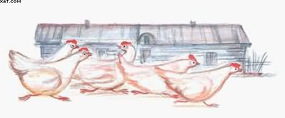 Рассказы о всякой живности - i_027.jpg