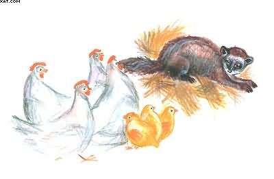 Рассказы о всякой живности - i_029.jpg