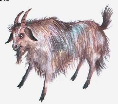 Рассказы о всякой живности - i_030.jpg