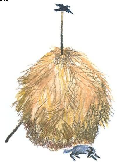 Рассказы о всякой живности - i_039.jpg