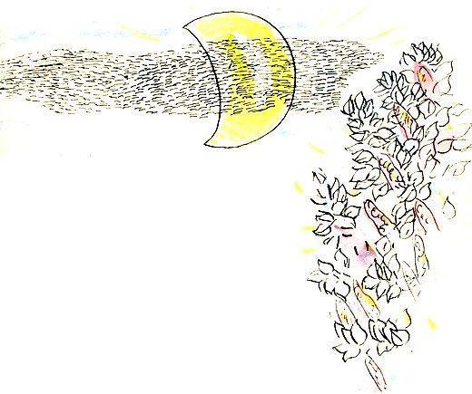 Приключения Бибигона - pic_40.jpg