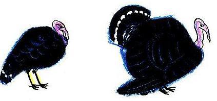 Приключения Бибигона - pic_50.jpg