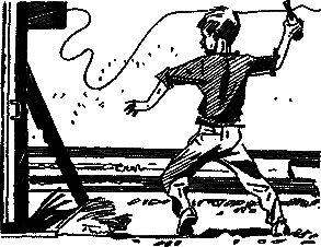 Алеш и его друзья - pic_29.png