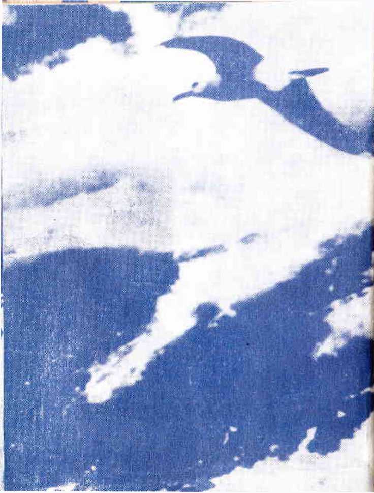 Юнги с Урала - _8.jpg