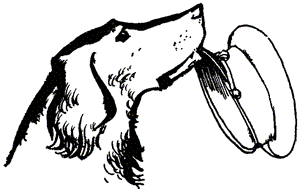 Нигер. История жизни одной собаки - doc2fb_image_0300001d.png