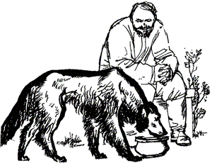 Нигер. История жизни одной собаки - doc2fb_image_03000027.png