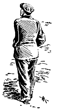 Тарантул (илл. Н. Кочергина) - pic_16.png