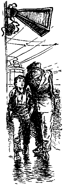 Тарантул (илл. Н. Кочергина) - pic_17.png