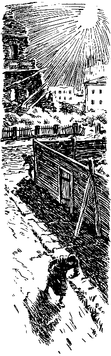 Тарантул (илл. Н. Кочергина) - pic_18.png