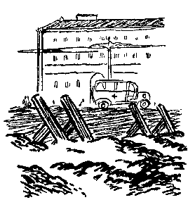 Тарантул (илл. Н. Кочергина) - pic_37.png