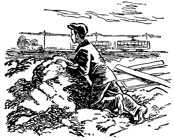 Тарантул (илл. Н. Кочергина) - pic_38.png