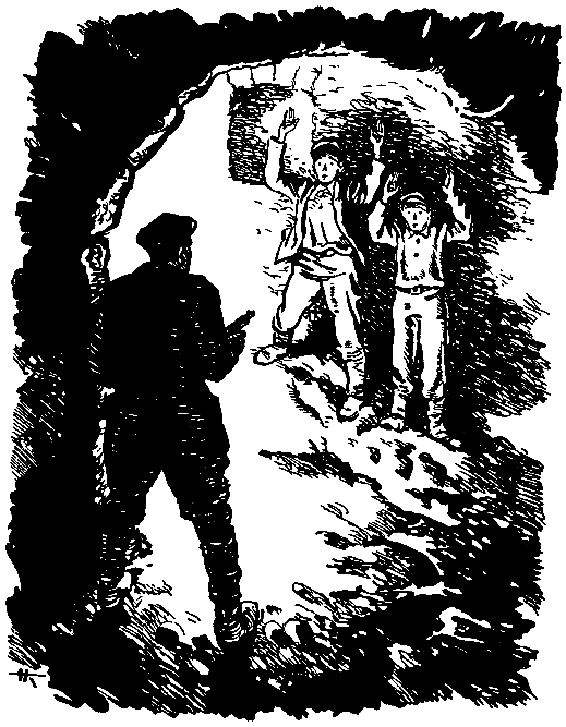 Тарантул (илл. Н. Кочергина) - pic_46.png