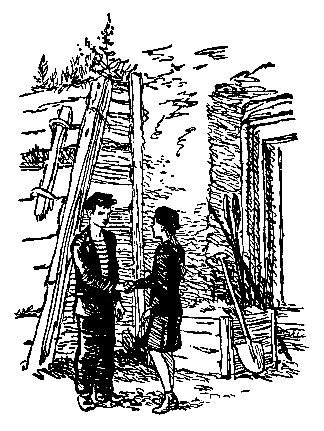 Тарантул (илл. Н. Кочергина) - pic_52.png