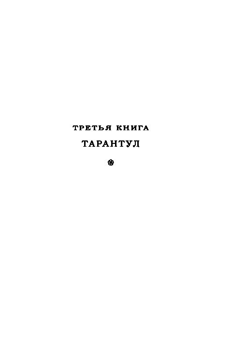 Тарантул (илл. Н. Кочергина) - pic_57.png