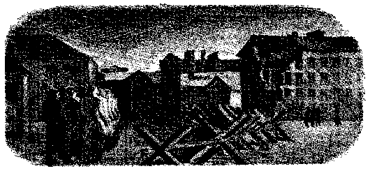 Тарантул (худ. А. В. Яркин) - pic_10.png