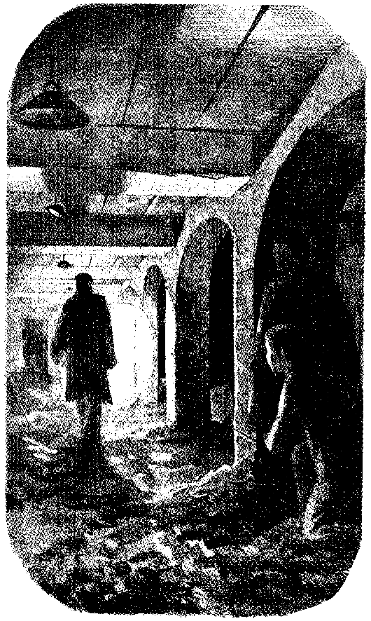 Тарантул (худ. А. В. Яркин) - pic_12.png