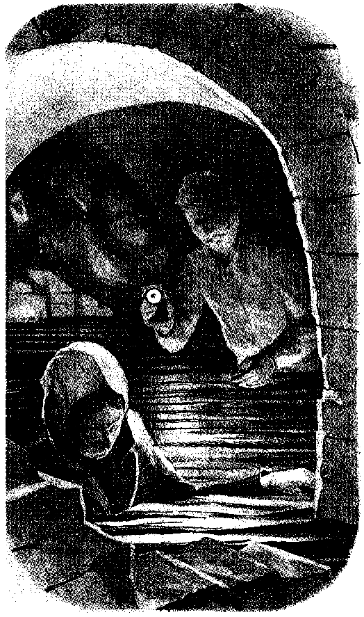 Тарантул (худ. А. В. Яркин) - pic_6.png