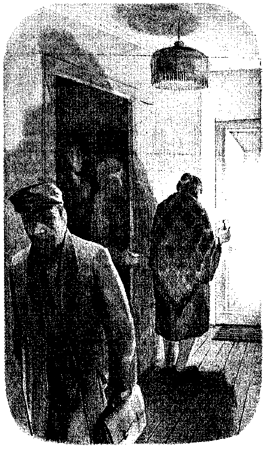 Тарантул (худ. А. В. Яркин) - pic_7.png