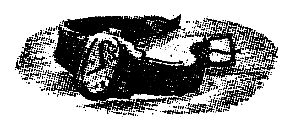 Тарантул (худ. А. В. Яркин) - pic_8.png