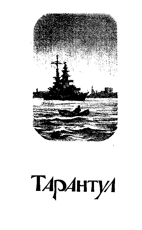 Тарантул (худ. А. В. Яркин) - pic_15.png