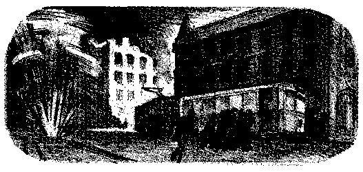 Тарантул (худ. А. В. Яркин) - pic_16.png