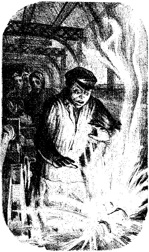 Тарантул (худ. А. В. Яркин) - pic_17.png