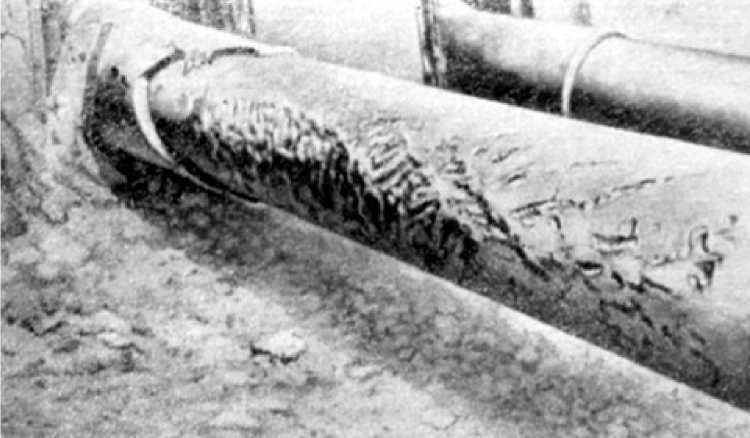 Подвиг тридцатой батареи - _7.jpg