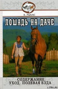 Лошадь на даче - Рыбас Екатерина Святославовна