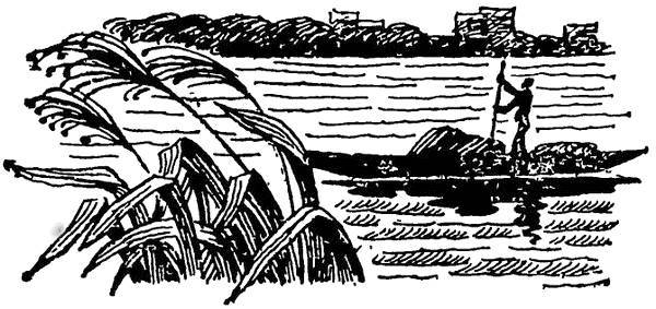 По джунглям Конго (Записки геолога) - _2.jpg