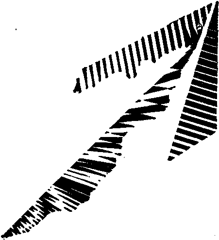 Приключения 1990 - i_002.png