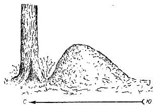 Ориентирование на местности без карты - _14.jpg