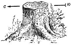 Ориентирование на местности без карты - _15.jpg