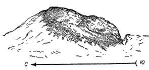 Ориентирование на местности без карты - _21.jpg