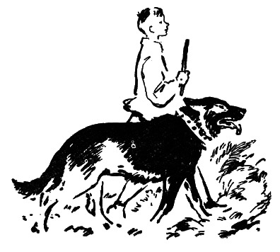 Тайны поселка Званцево - i_004.png