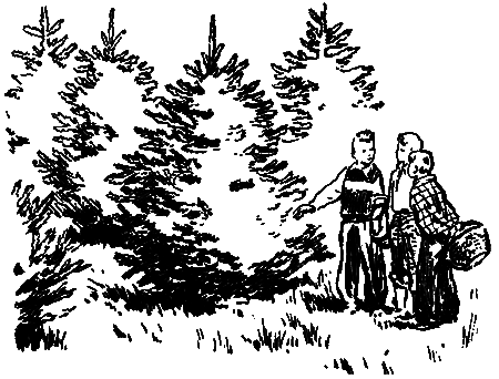 Тайны поселка Званцево - i_026.png