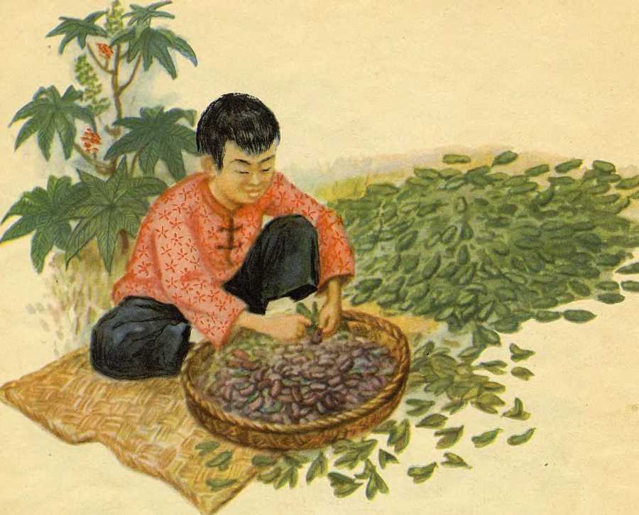 Боб, который умел петь песни - image8.jpg