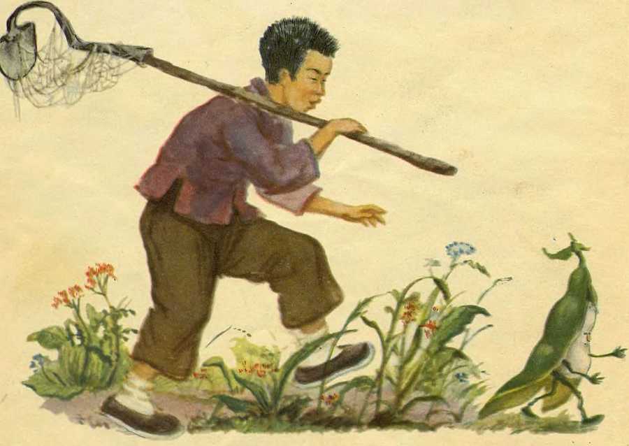 Боб, который умел петь песни - image13.jpg