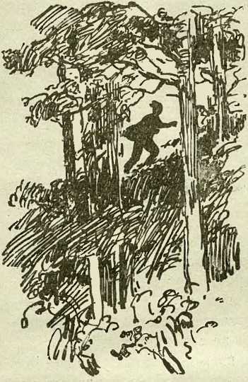 Три плова - _37.jpg