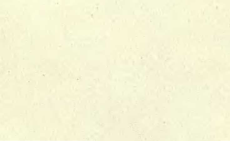 Три плова - _45.jpg