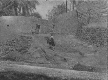 Спящий пробуждается - image7.png