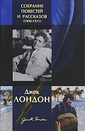 Серия книг Лунный лик